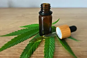 Cbd