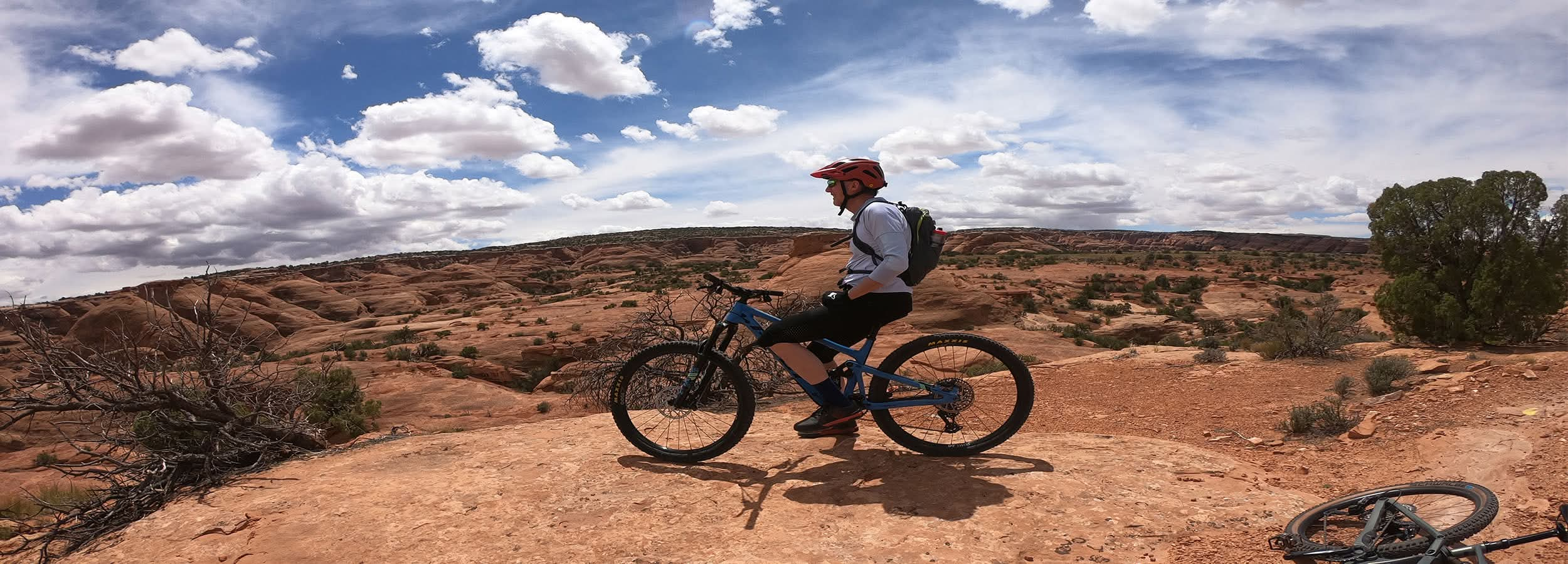 Moxie Cycling Company cover image